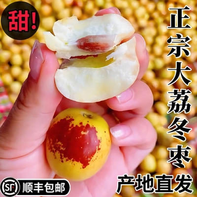顺丰上门！陕西大荔冬枣糖心爆甜