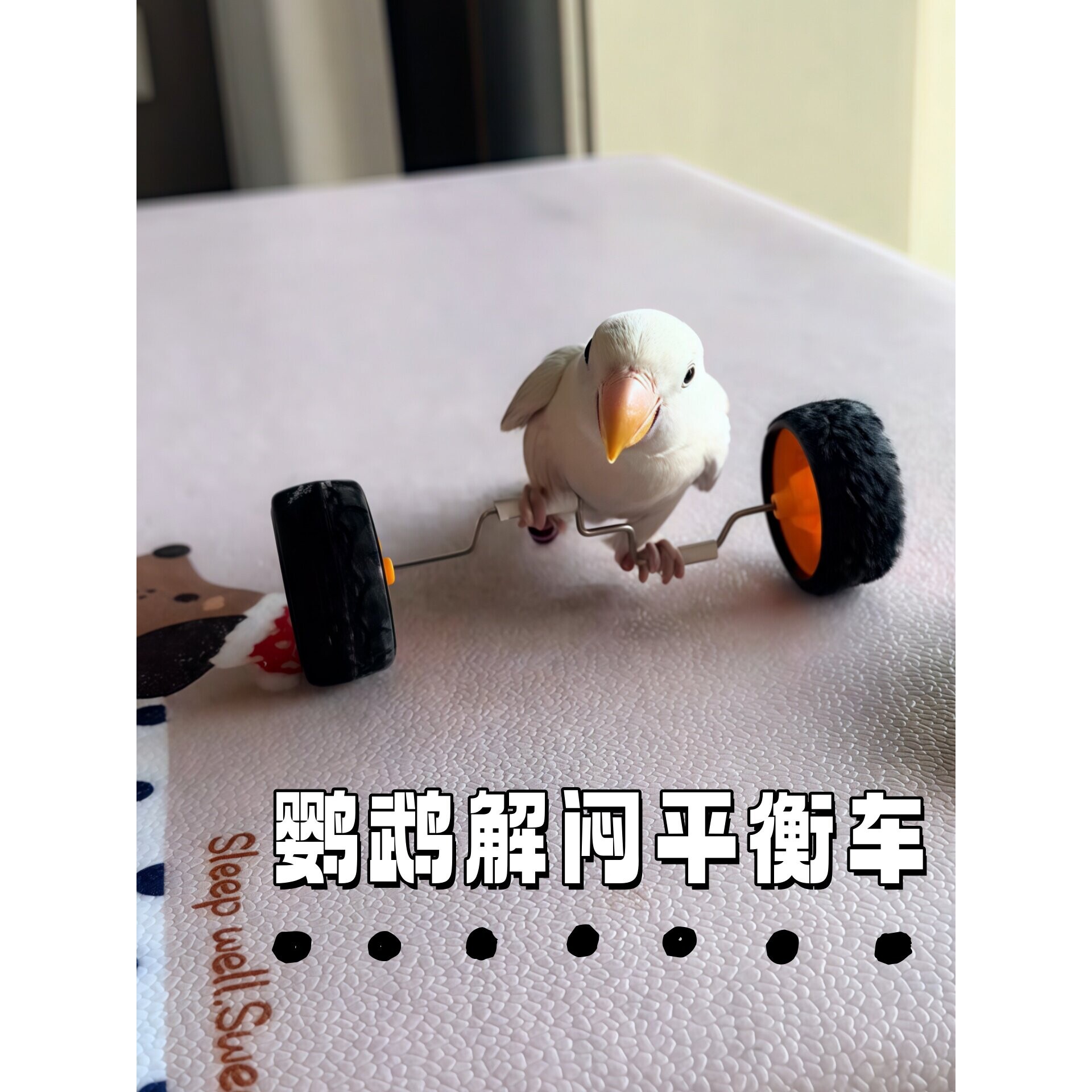 鹦鹉玩具解闷自嗨消耗体力平衡车小太阳玄凤虎皮牡丹益智小鸟玩具
