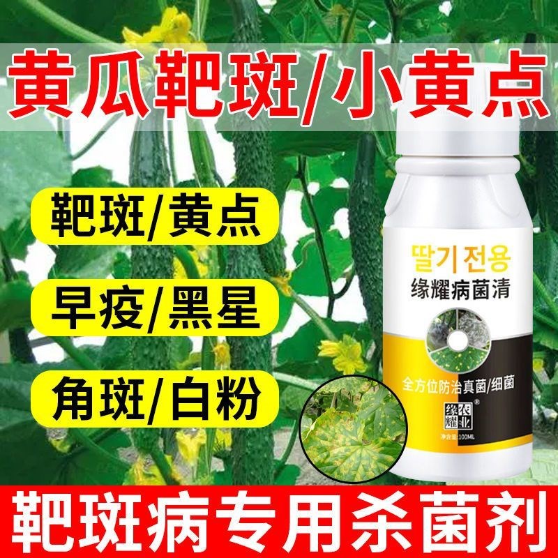 黄瓜靶斑病专用黄瓜靶斑病角斑叶枯病黄点病灰霉枯萎专用病害全清