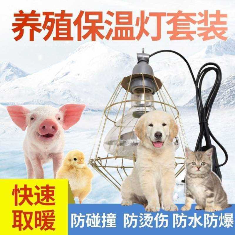 宠物狗狗猫咪新生儿o繁育养殖工具空调保温箱保暖灯取暖器加热保