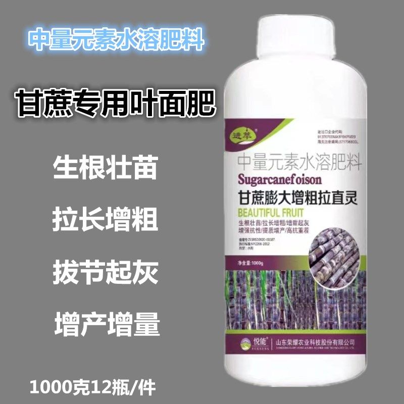 甘蔗叶面肥膨大增粗拉直r1000克生根壮苗黑果蔗糖蔗拔节起灰优丰