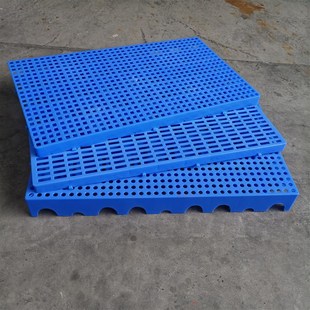 鸡舍狗笼子网板鸡圈塑料鸡用垫板鸽子鸡粪鸭子养羊用的养殖漏粪板