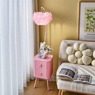 奶油风羽毛落地灯少女心卧室床头柜台F灯一体置物架客厅智能氛围