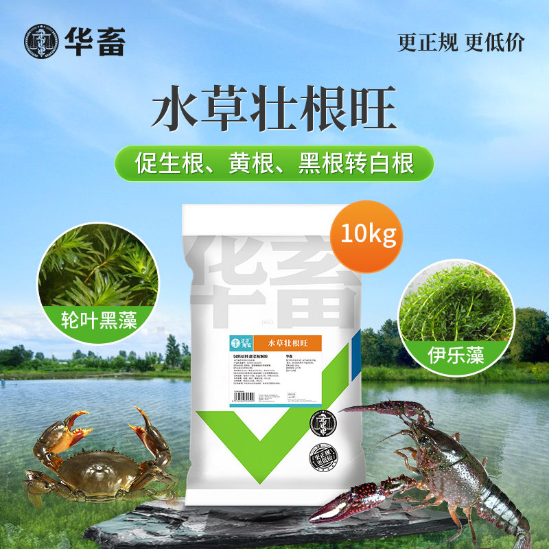 华畜水产养殖鱼虾蟹鱼塘水草壮根旺肥F水草根发芽高温保草根肥水