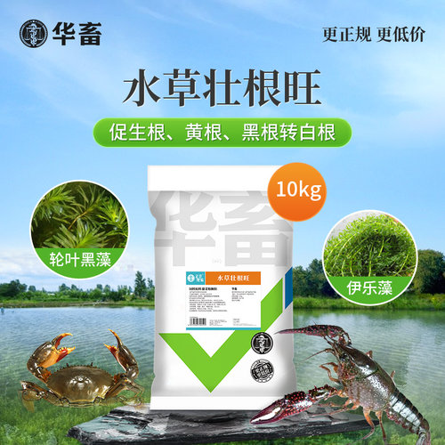 华畜水产养殖鱼虾蟹鱼塘水草壮根旺肥F水草根发芽高温保草根肥水