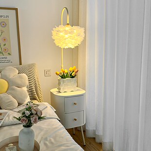 奶油风羽毛落地灯卧室床s头柜台灯一体置物架客厅沙发旁智能氛围