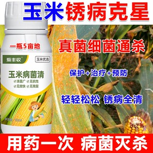 玉米锈病叶斑病黑穗病杀菌剂玉米杀菌剂防治玉米锈病微生物菌肥