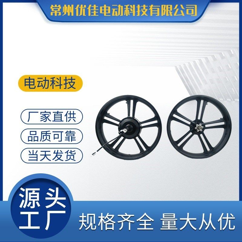 20寸胖胎电动自行车一体轮电机48v750w雪地电机T后轮前轮车圈套件