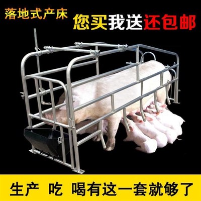 母猪产床落地式产床仔猪分娩床定位栏简易产床养W殖场猪用设备