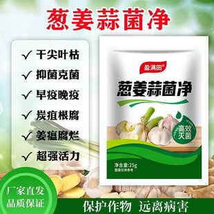 盈满田葱姜蒜菌净干尖黄叶农用杀菌剂叶面肥早晚疫疮痂枯萎炭疽