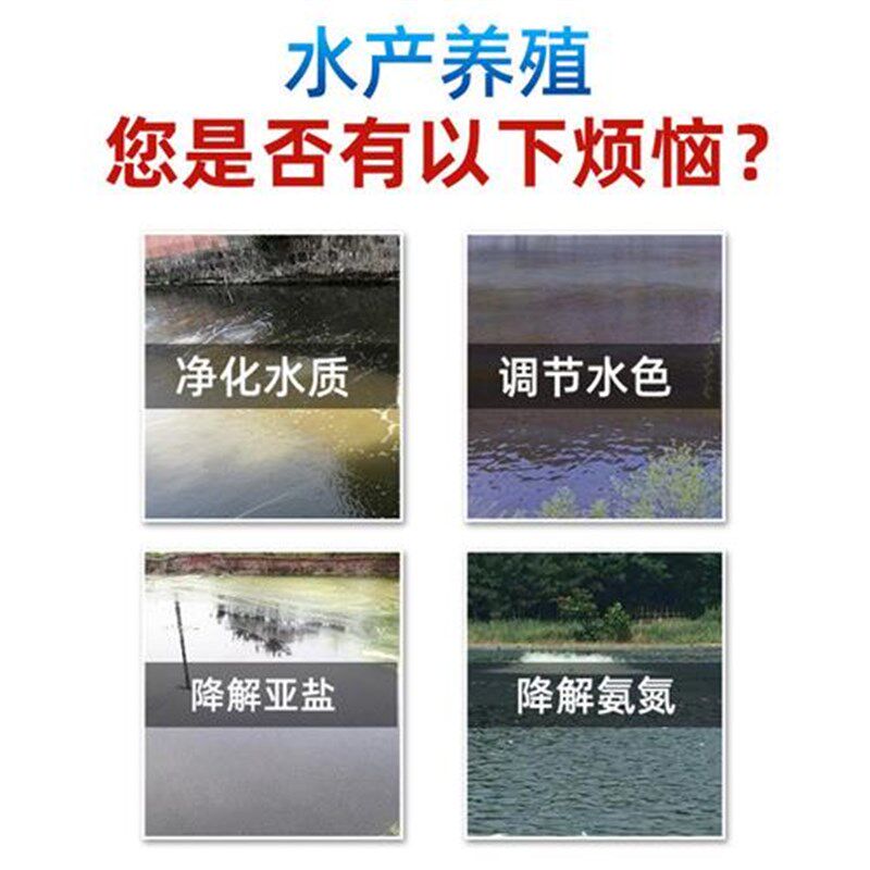 硝氨速降水产养殖鱼塘虾蟹塘降亚硝酸盐硝氨净降氨氮亚硝速净速.