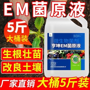 EM菌原露原种农用微生物菌剂发酵剂EM复合原液生物冲施生根菌肥