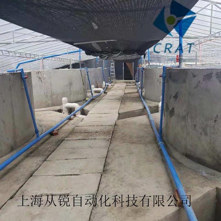 上海锐室内高密度养虾设备殖/500㎡从养虾设备罗/氏沼虾养系统
