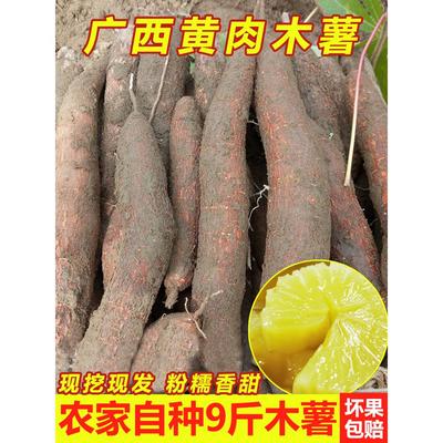 广西特产去皮新鲜黄心木薯粉糯甜板栗5斤现挖黄肉面包黄金木薯