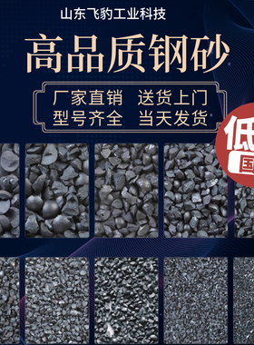 钢砂钢丸抛丸机钢丝切丸G25合金强化配重G18铸钢沙喷砂不锈钢喷丸