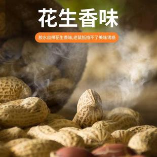 金大侠抓老鼠板室内家用捕鼠器笼子夹子灭鼠强力粘鼠板老鼠贴宿舍