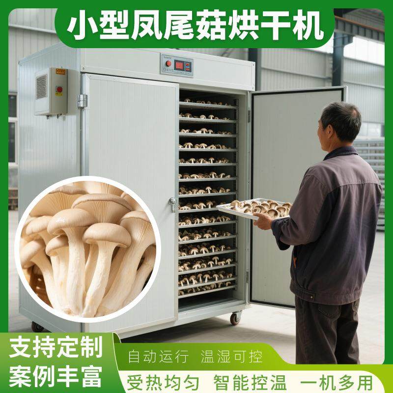 电加热凤尾菇烘干机 小型平菇秀珍菇脱水干燥机 菌菇类烘干生产线