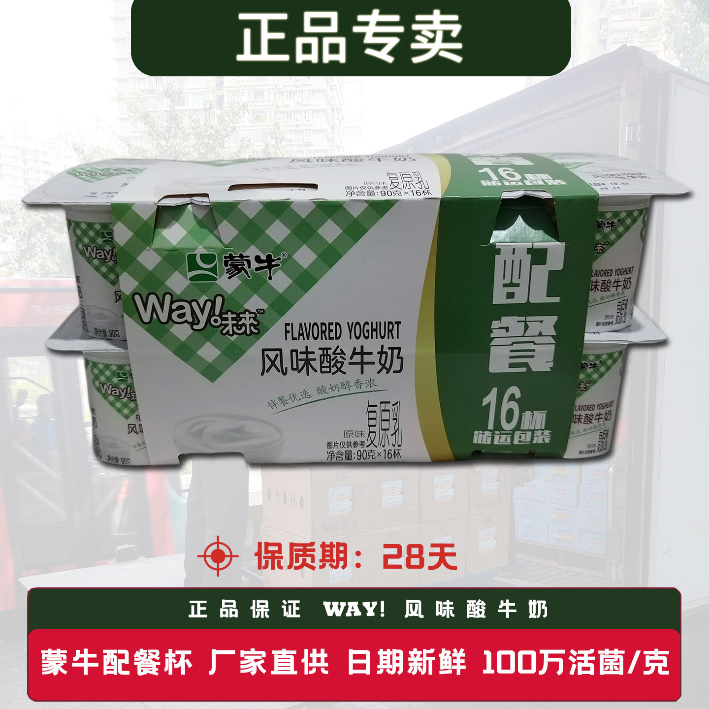 蒙牛配餐杯酸奶风味酸牛奶16连杯