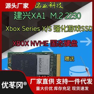 SN530 建兴XA1 固态Xbox扩展硬盘卡 NVME 512G
