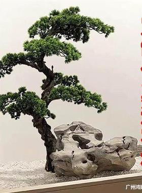 极速https://detail.1688.com/offer/689055L429210.html?spm=a2