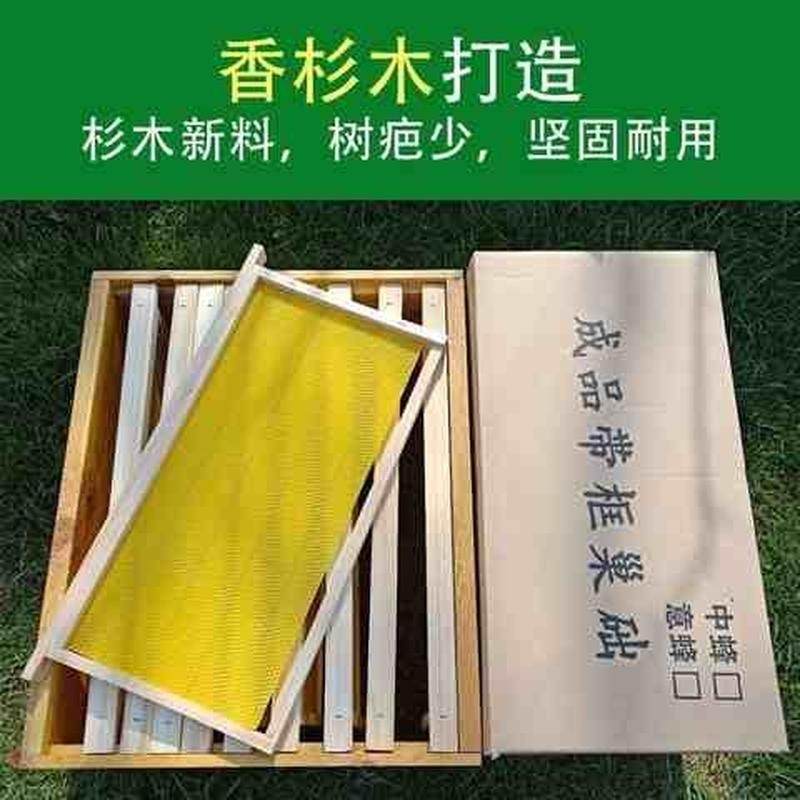 极速蜂箱意蜂中蜂巢框成品蜂具养A蜂专用工具大全蜜蜂巢础框全套