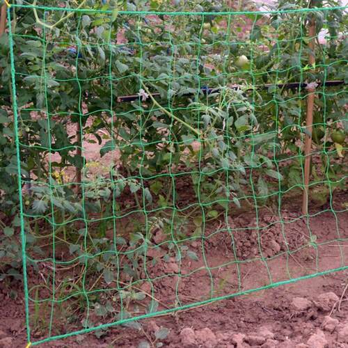新品80*180cm Garden Plant Trellis Netting Heavy Duty YMesh V