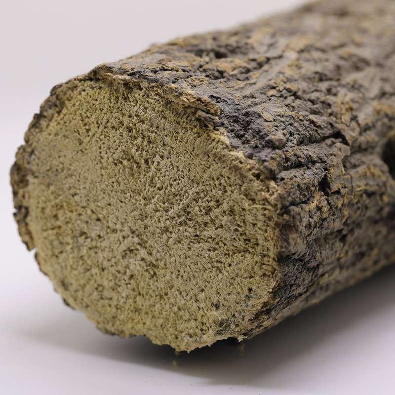 极速甲虫产木 彩虹n锹甲成虫产卵繁殖产房发酵木屑独角仙中大扁巨,宠物/宠物食品及用品,爬虫/鸣虫食物,淘宝优惠券,粉丝福利购,淘宝优惠卷