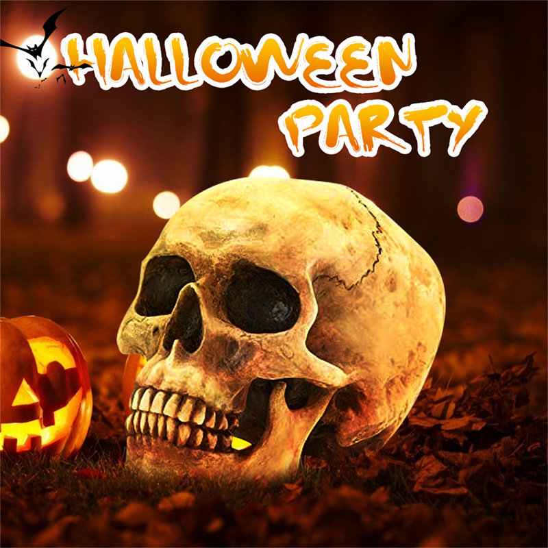 极速1PCS Heuman Head Resin Replica Model High Quality Decora