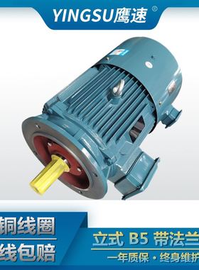 极速供应YVP YkVF160L-2级18.5KW变频调速马达三相异步马达