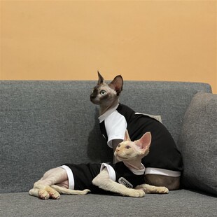 极速司芬克斯无毛猫衣服夏季潮牌C纯棉短袖背心空调房防过敏德文