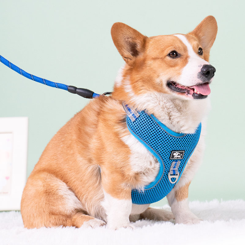 极速狗狗牵引绳背心式胸背带柯基犬拉布拉多遛狗绳子W小中型犬宠