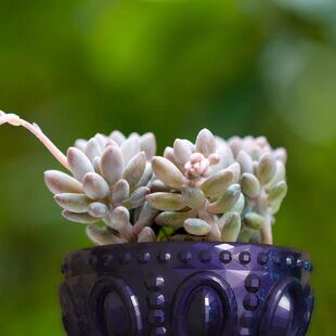 极速Resin Molds Silicone DIY Round BoHwl Resin Moulds For Ar