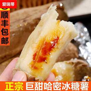 哈密冰糖薯番薯烤地瓜红薯新鲜现挖糖心蜜薯白薯山东农家沙地