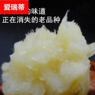 老品种白心红薯山东沙地新鲜现挖番薯红皮农家自种软糯甜包邮5斤