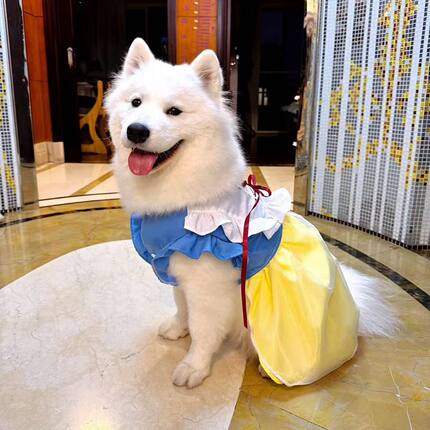 宠物春夏公主大中型犬绑带网纱裙宠物狗狗猫咪衣服萨摩耶防掉毛
