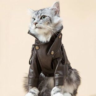 宠物猫咪狗狗皮衣外套秋冬新款 猫中小型犬 复古帅气中小型机车工装