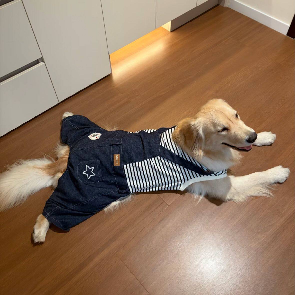 中大型犬狗狗牛仔背带裤连体金毛拉布拉多条纹四脚衣春秋大狗衣服