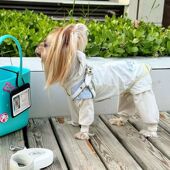 宠物猫咪狗狗防晒新款 泰迪马尔济斯宠物衣服防晒防脏轻便四脚连帽