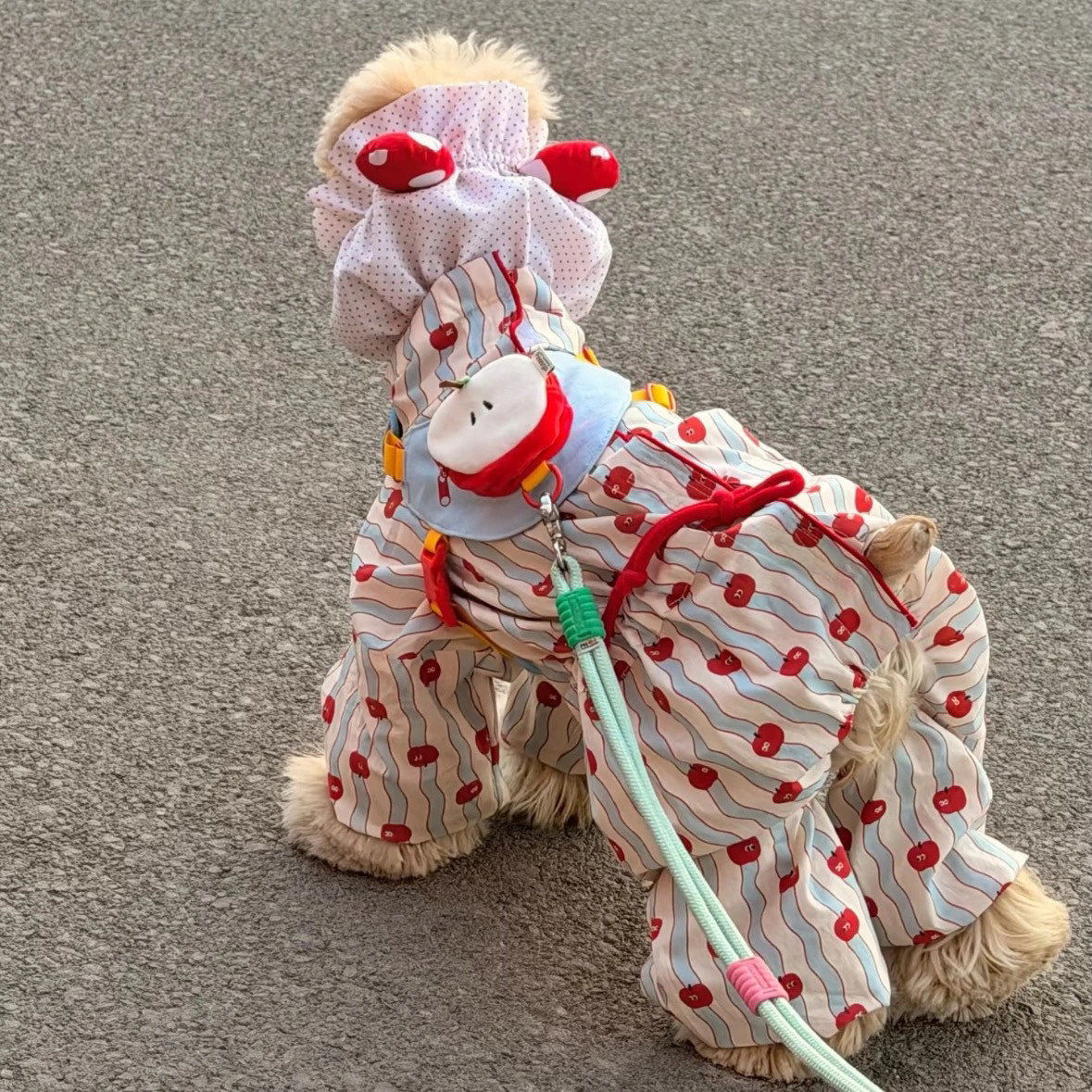 宠物防护服小型犬四脚春秋防污护腿连体可调节外出狗狗衣服防虫