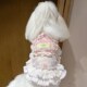 宠物衣服重工公主风宠物狗狗夏季 蕾丝裙子比熊约克夏舒适衣服