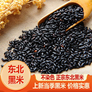 东北黑米精选农家自产新米黑香米粥五常香糯杂粮批发粗粮月子餐