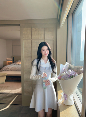 炸鸡欧尼JeJuna 温柔女友 灰色真两件套上衣a字伞裙羊毛针织套装