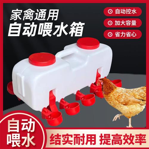 鸡用自动饮水器家禽饮水碗鸽子鹌鹑芦丁鸡小雏鸡喝水碗鸡水壶水桶