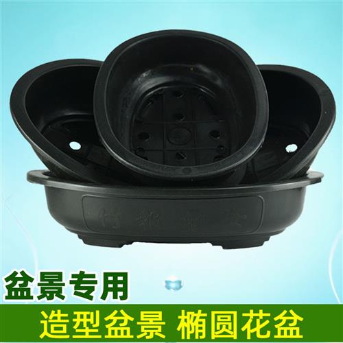 椭圆型盆景花盆塑料榕树澳洲彬文竹绿宝老桩盆黄杨卷柏种菜盆景盆