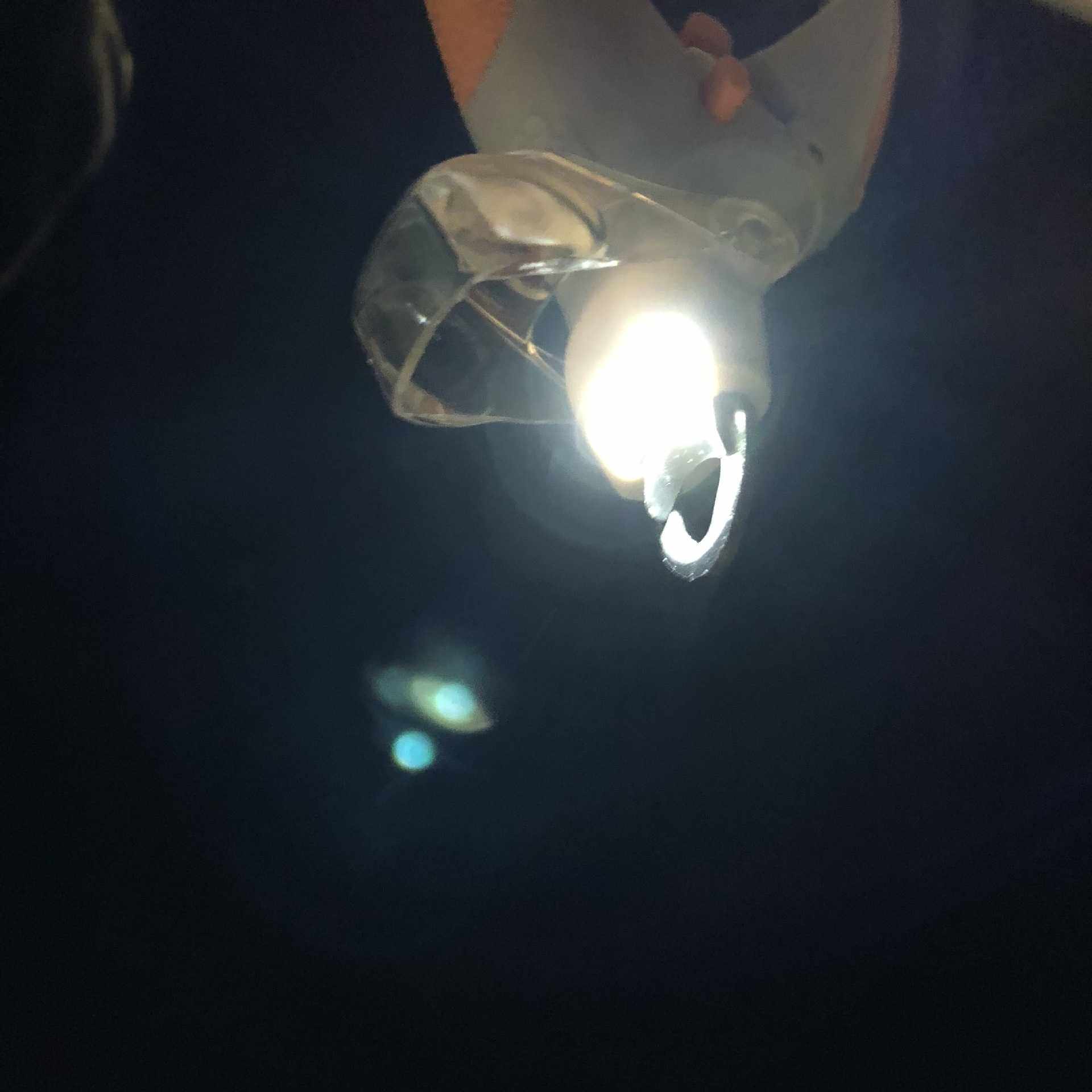 新款直销【防滑手柄】LED宠物指甲钳宠物发光指甲剪猫狗指甲刀带