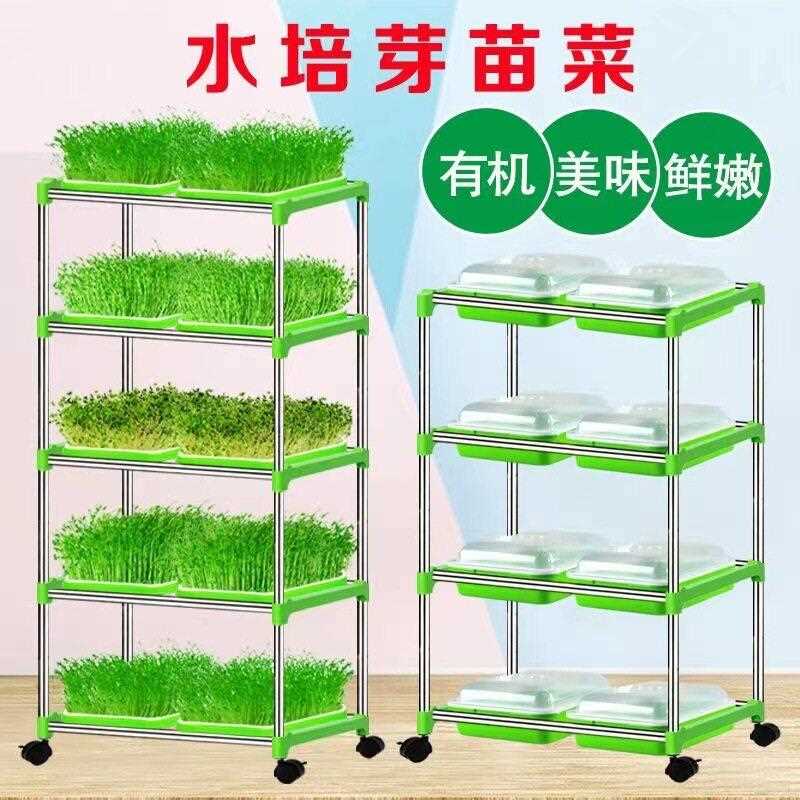 新款直销豆芽发芽盘水培蔬菜设备 豌豆苗种植架无土栽培家用芽苗