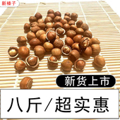 八斤装 木乃壳 山榛子 铁岭特产 新货 榛子