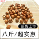 八斤装 木乃壳 山榛子 铁岭特产 新货 榛子