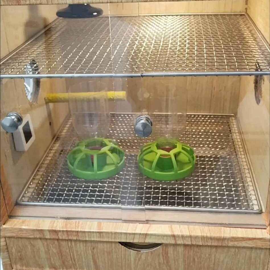 鸟笼鸡笼专用网片加粗款铁丝网格脚垫小孔加密长方形防鼠diy拼接