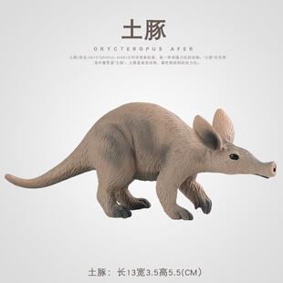 跨境仿真野生土豚蚁熊土猪动物模型静态玩具场景儿童认知收藏摆件